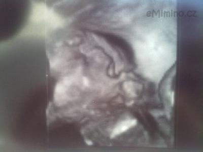 27062011010.jpg