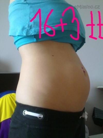 Bříško 16+3 tt.jpg