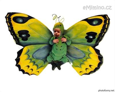 final_504142872425_origen.jpg