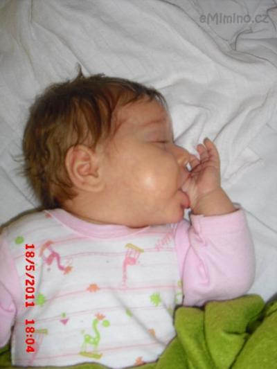 CIMG7868.JPG