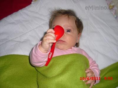 CIMG8541.JPG
