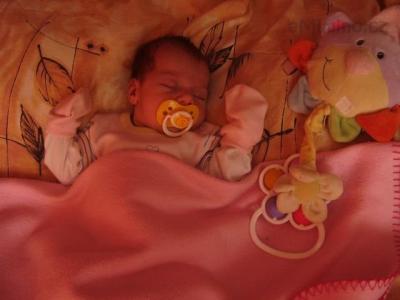 P6100002.JPG