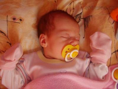 P6100005.JPG