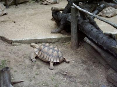 PICT0120.JPG