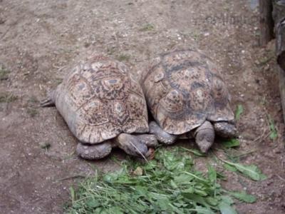 PICT0121.JPG