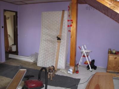 IMG_1489.JPG