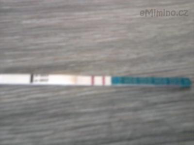 Test 29.8.2011