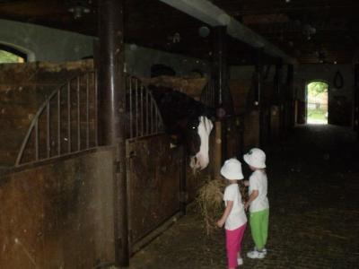 Lesopark 10.7.2011 003.JPG