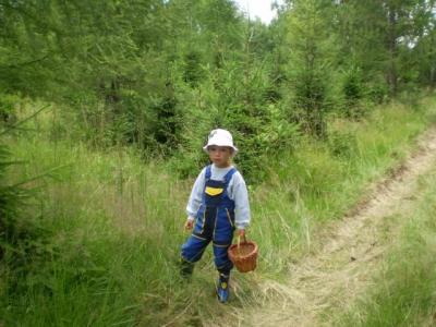 Rusová-houby 17.7.2011 001.JPG