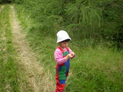 Rusová-houby 17.7.2011 002.JPG