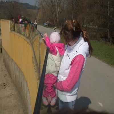 mimiaukce 015.jpg