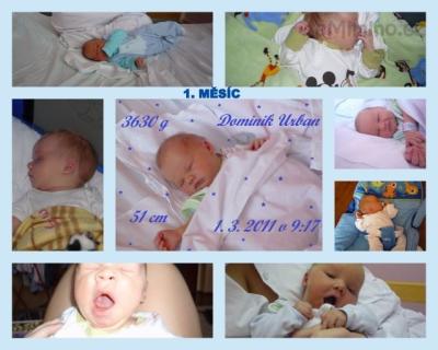 1. MĚSÍC