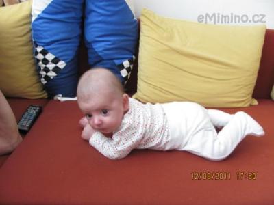 Dominik 002.jpg