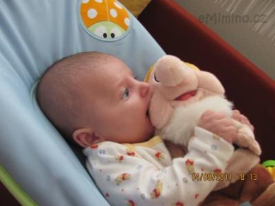 Dominik 01000.jpg