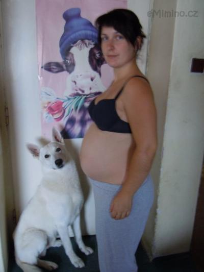 28+6 t.JPG