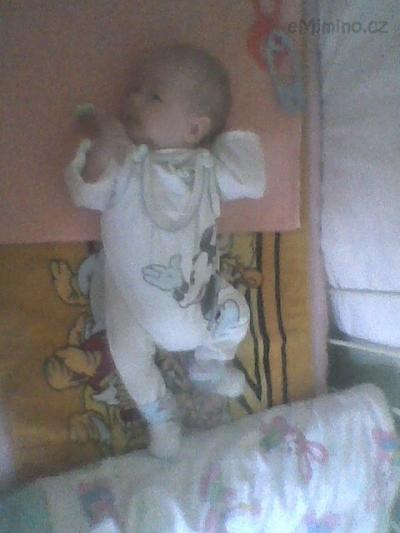 Obraz0126.jpg