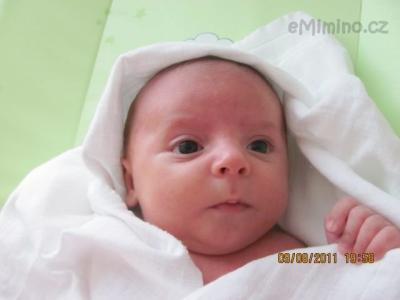 Dominik 043.jpg