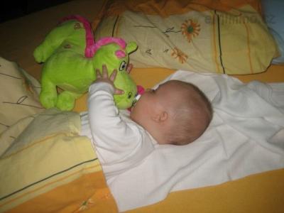 IMG_7264.JPG