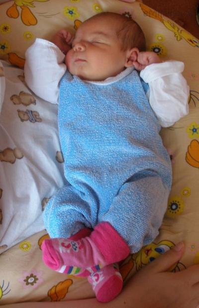 P1010017.JPG