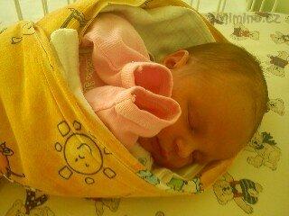 DSC00115_mini.jpg