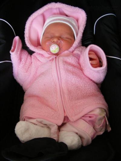 Vanda 050.jpg
