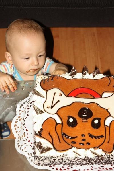 Radeček miluje pejsky:)