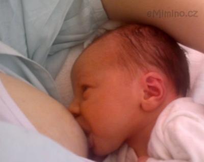 25092011150.jpg