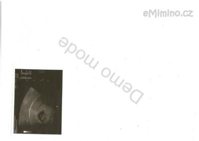 SCAN0002.jpg