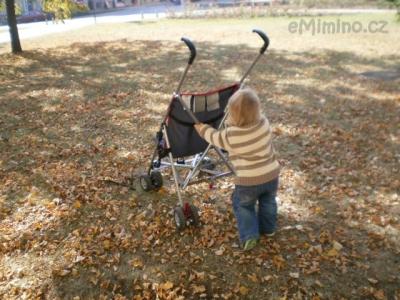 PA040518.JPG