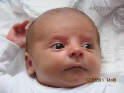 Dominik 010.jpg