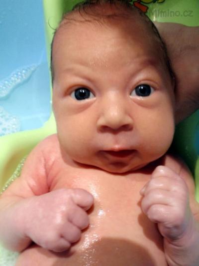 P8270025.jpg