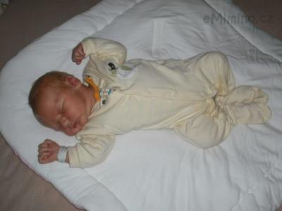 Adam_vyber26012011 022.jpg