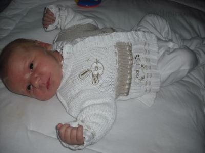 Adam_vyber30012011 002.jpg