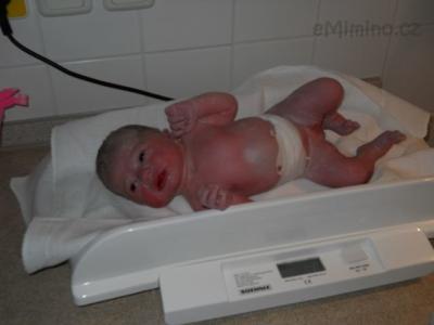 DSCN0055.JPG