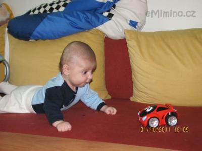 Dominik 366.jpg