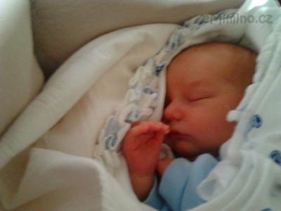 2011-09-10 09.07.59.jpg