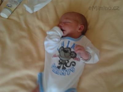 2011-09-11 11.06.50.jpg