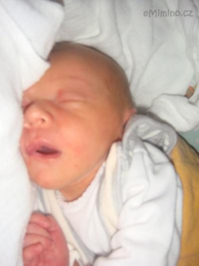 DSC00359aaa.jpg