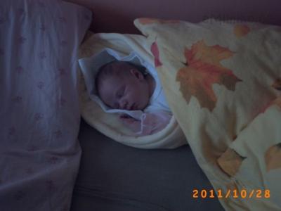 PICT0126.JPG