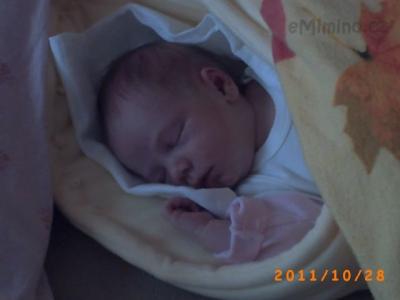 PICT0127.JPG