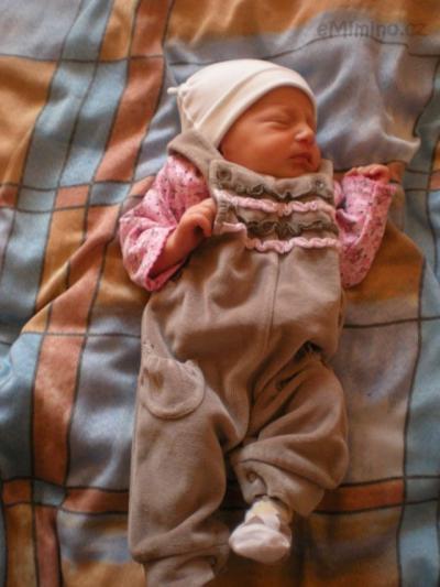 DSCN2305.JPG