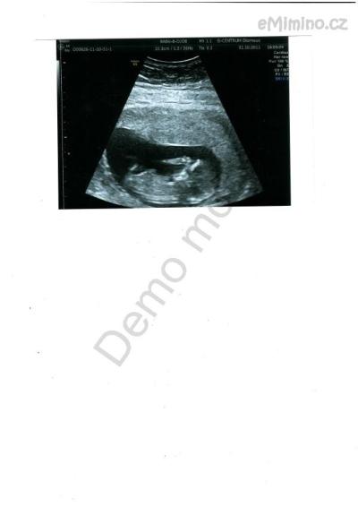 SCAN0004_JPG.jpg