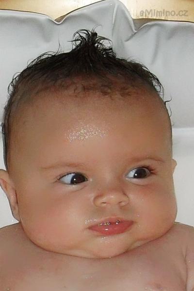 koupání