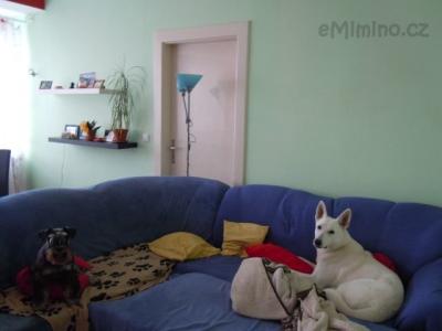DSCN1300.JPG