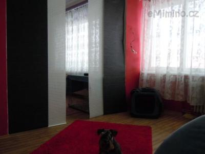 DSCN1311.JPG