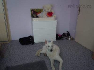 DSCN1322.JPG