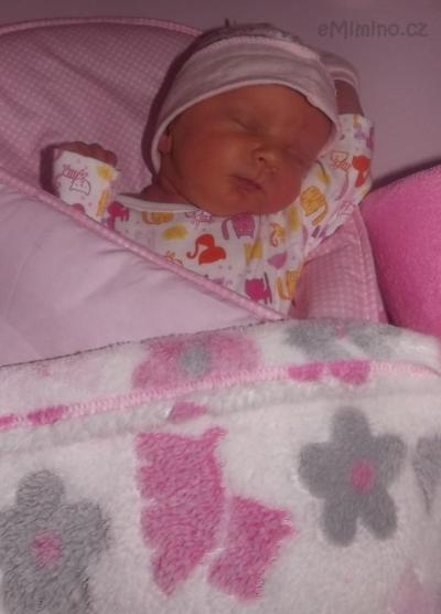 DSCF2515.JPG