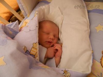 DSCN0371.JPG