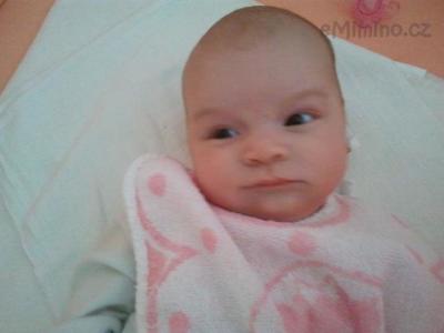 2011-07-27 11.53.31.jpg