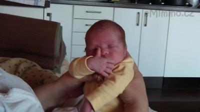 SAM_0154.JPG